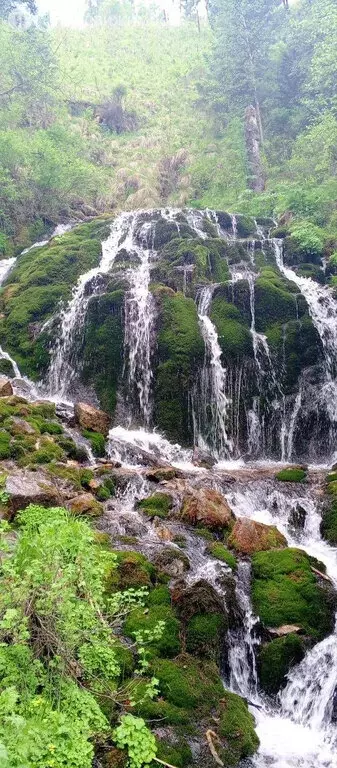 Участок в Чемальский район, поселок Верх-Анос (30 м) - Фото 1