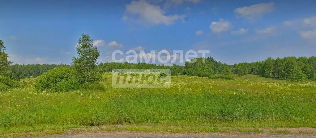 Участок в Московская область, Сергиево-Посадский городской округ, д. ... - Фото 1