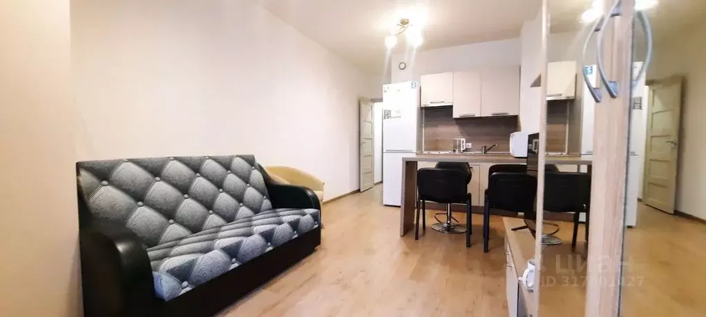 Студия Санкт-Петербург просп. Ветеранов, 171к2 (24.0 м) - Фото 1
