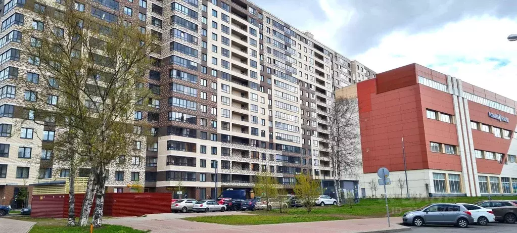 Студия Санкт-Петербург Пискаревский просп., 25к2 (22.4 м) - Фото 0