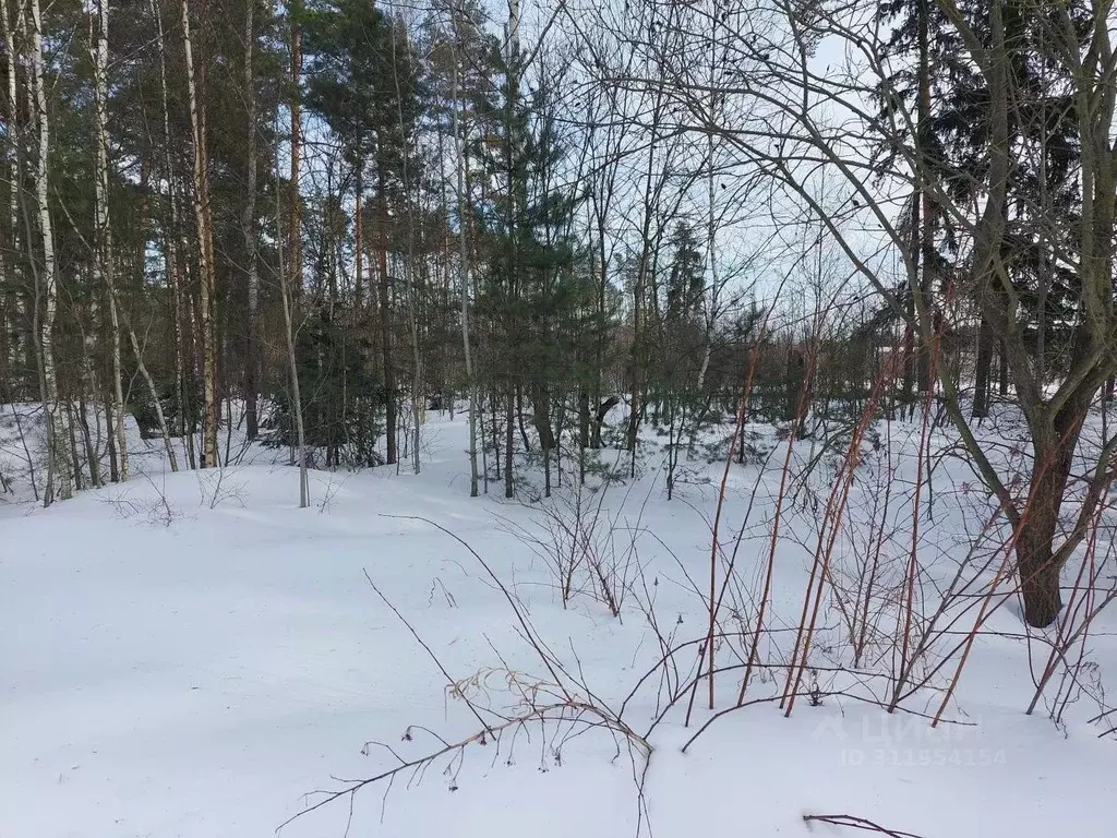 Участок в Московская область, Электроугли Богородский городской округ, ... - Фото 0