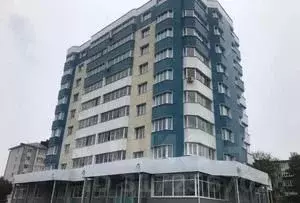 Офис в Орловская область, Ливны ул. Дружбы Народов, 159 (73 м) - Фото 1