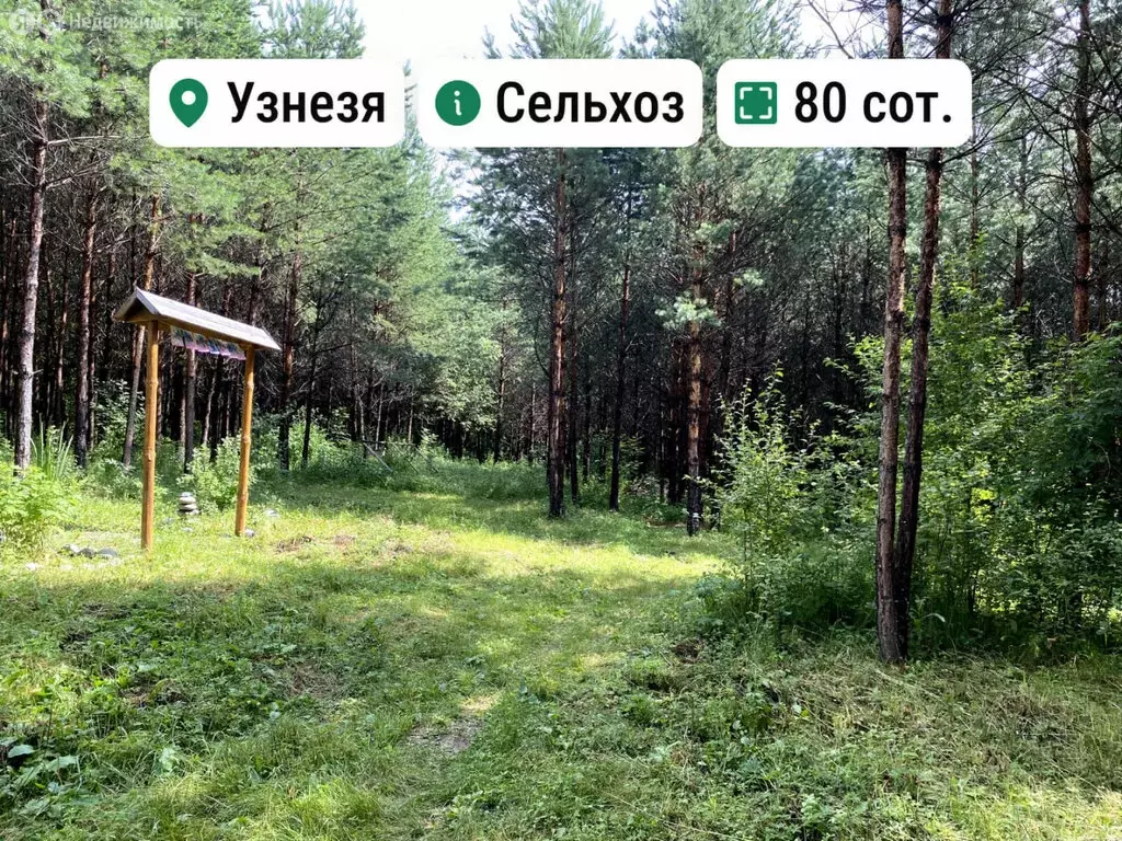 Участок в Чемальский район, Узнезинское сельское поселение, село ... - Фото 1