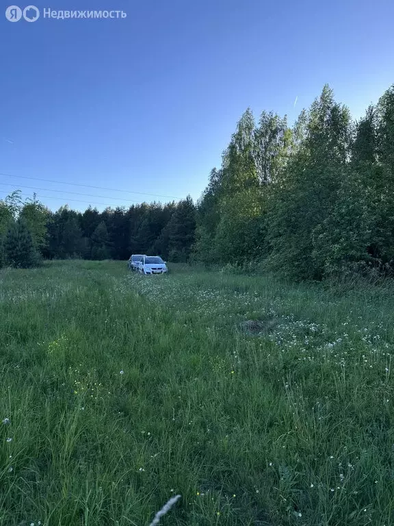 Участок в городской округ Нижний Новгород, деревня Горный Борок (15 м) - Фото 0