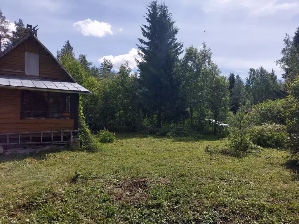Участок в Ленинградская область, Выборгский район, Красносельское ... - Фото 1