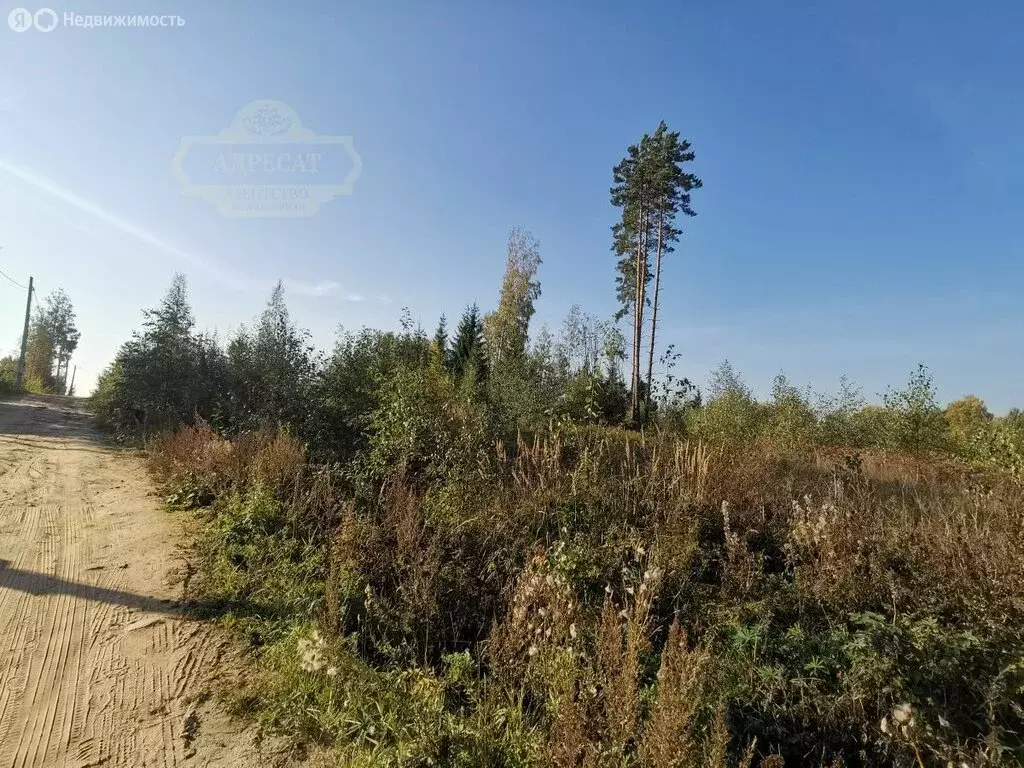 Участок в Агалатовское сельское поселение, дачное некоммерческое ... - Фото 0