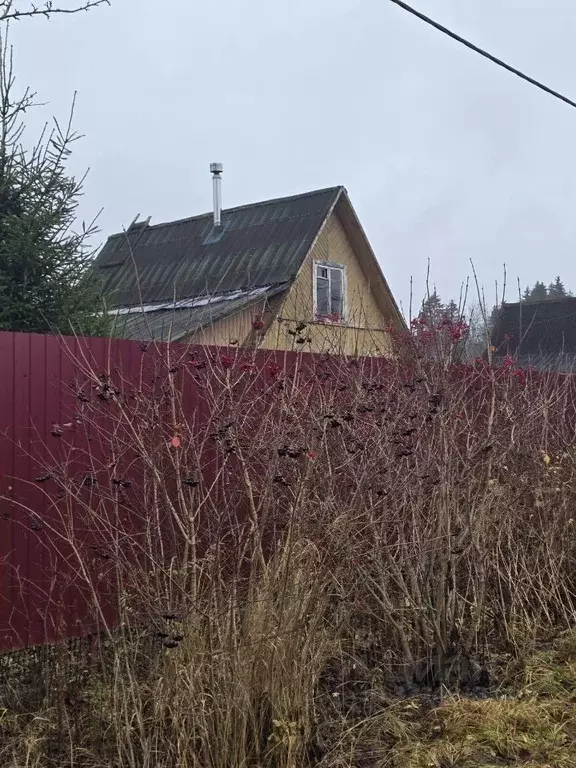 Участок в Ленинградская область, Кировский район, Мгинское городское ... - Фото 1