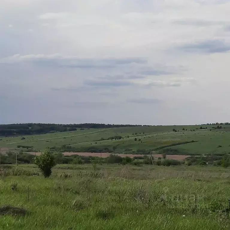 Купить Землю В Заре Пенза