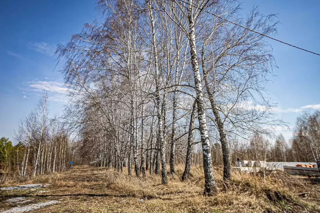 Участок 10 сот. (СНТ, ДНП) - Фото 1