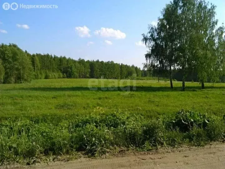 Участок в Курган, СНТ Нива (5 м) - Фото 2