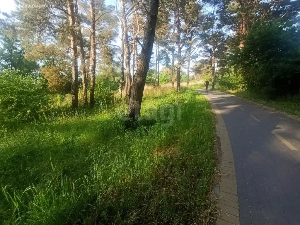 Участок в Зеленоградск, Берлинская улица (8 м) - Фото 0