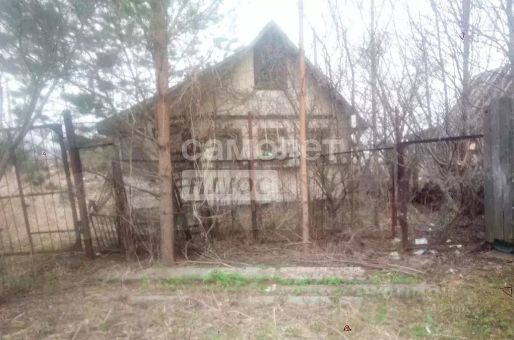 Дом в Вологодская область, д. Мостища 7А (33 м) - Фото 2