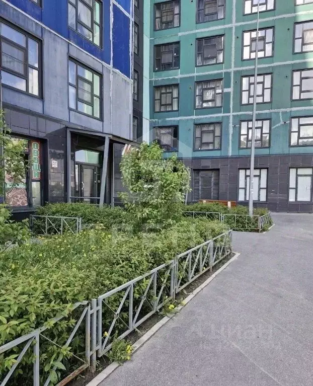 Студия Ленинградская область, Мурино Всеволожский район, ул. Шоссе в ... - Фото 2