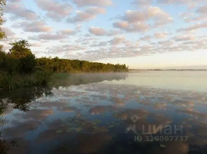 Участок, 28.1 сот., поселения (ижс) - Фото 0