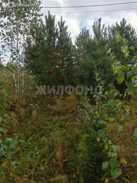 Участок в Томск, Шегарский тракт (12 м) - Фото 0