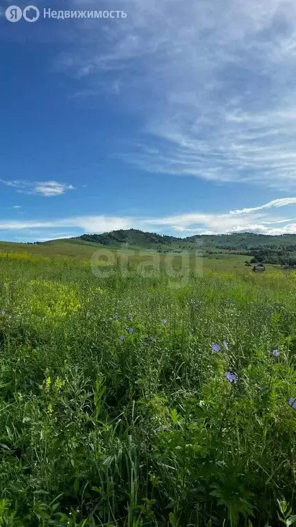 Участок в Алтайский район, ДНТ Жемчужина Алтая, 4-й Западный проезд ... - Фото 2