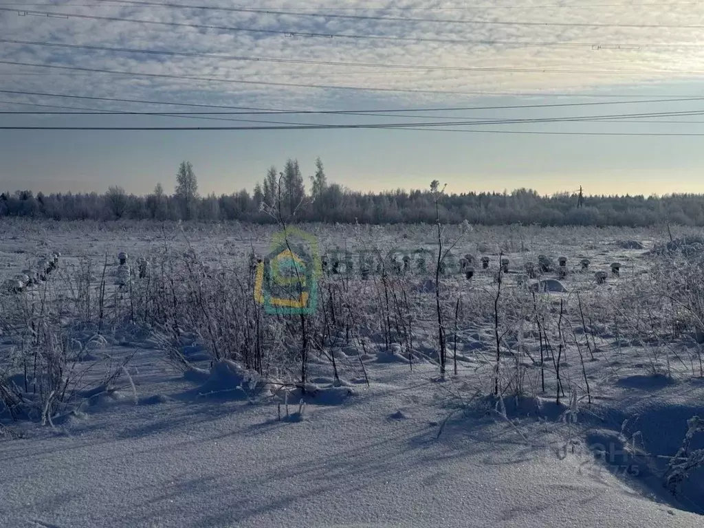 Участок в Ленинградская область, Ломоносовский район, Виллозское ... - Фото 1