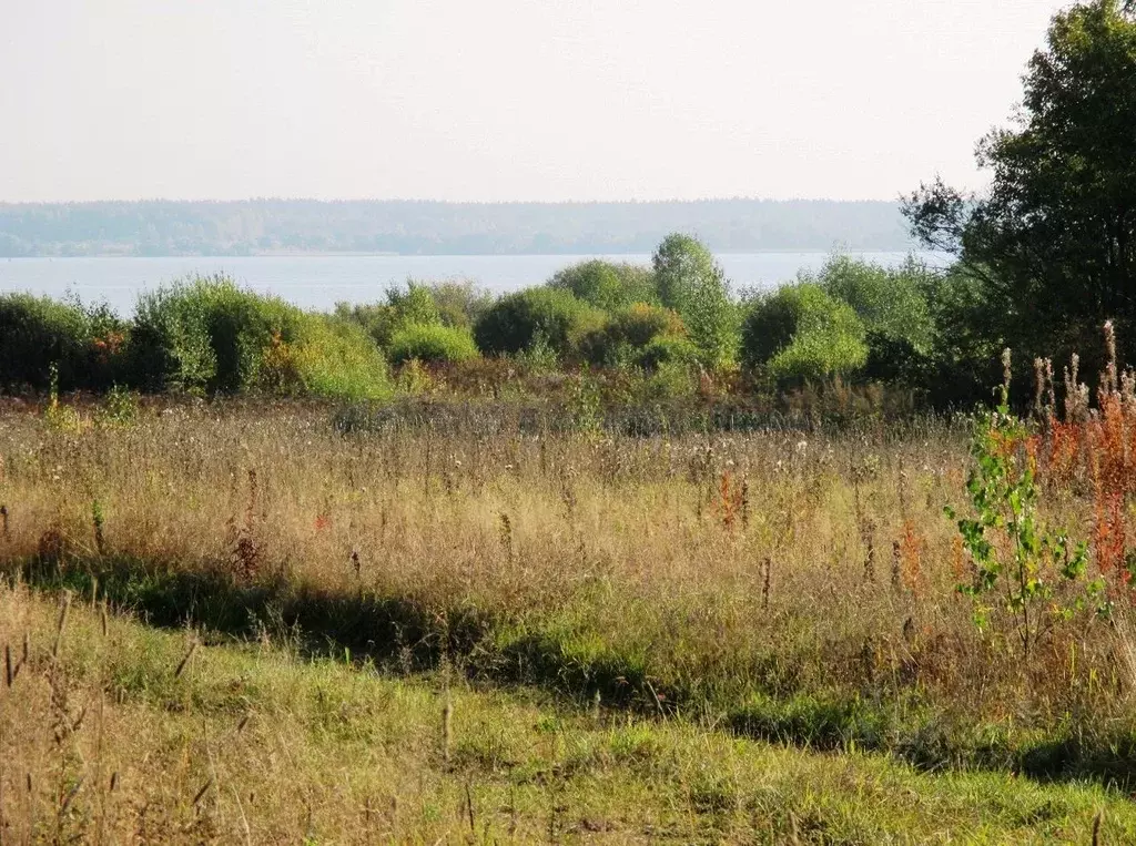 Участок в Тверская область, Кашинский городской округ, д. Харлово  ... - Фото 1