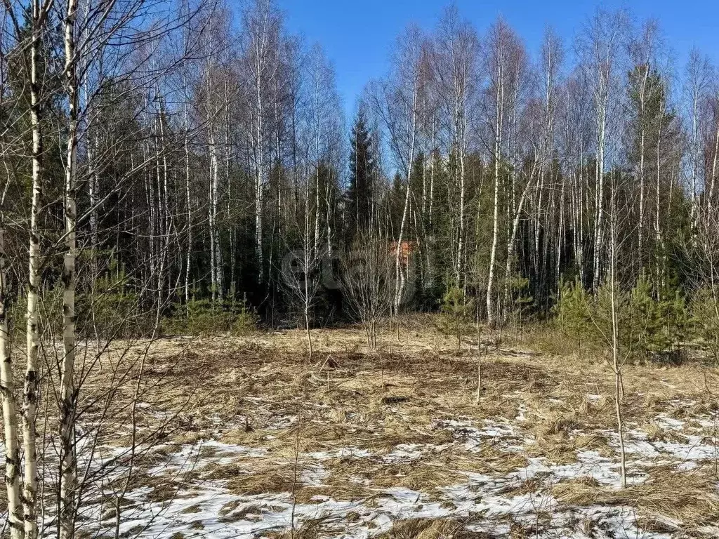 Участок в Московская область, Солнечногорск городской округ, СППК ... - Фото 0