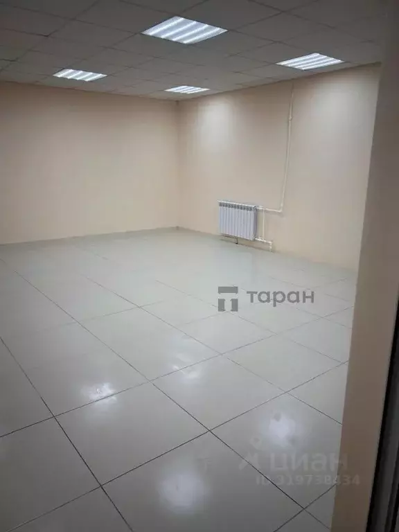 Помещение свободного назначения в Челябинская область, Троицк ул. ... - Фото 1