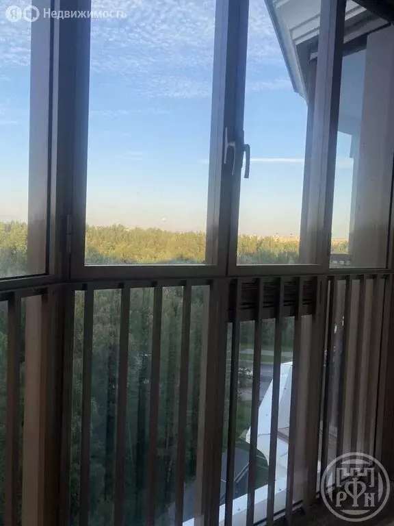 Квартира-студия: Ломоносов, Михайловская улица, 51 (21 м) - Фото 0