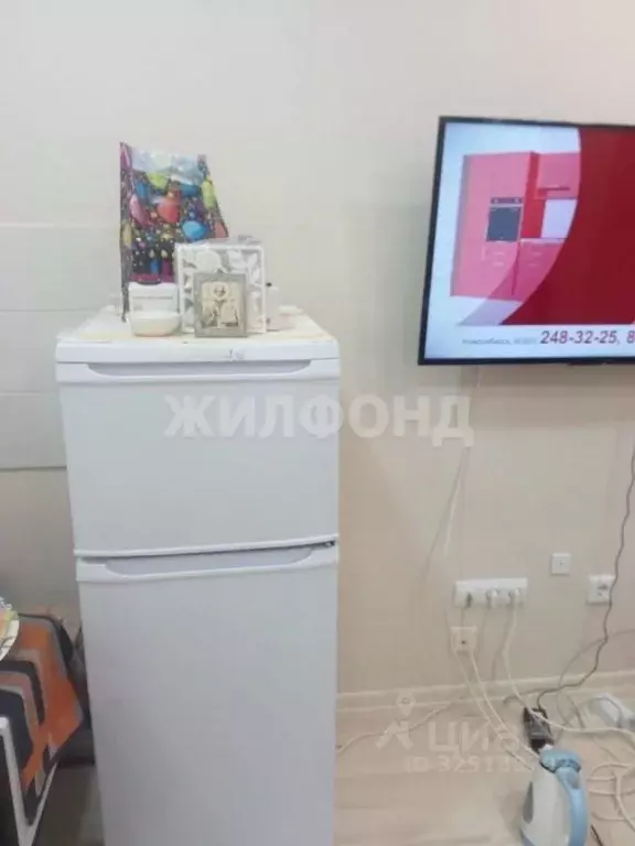 Студия Новосибирская область, Новосибирский район, Каменский ... - Фото 2