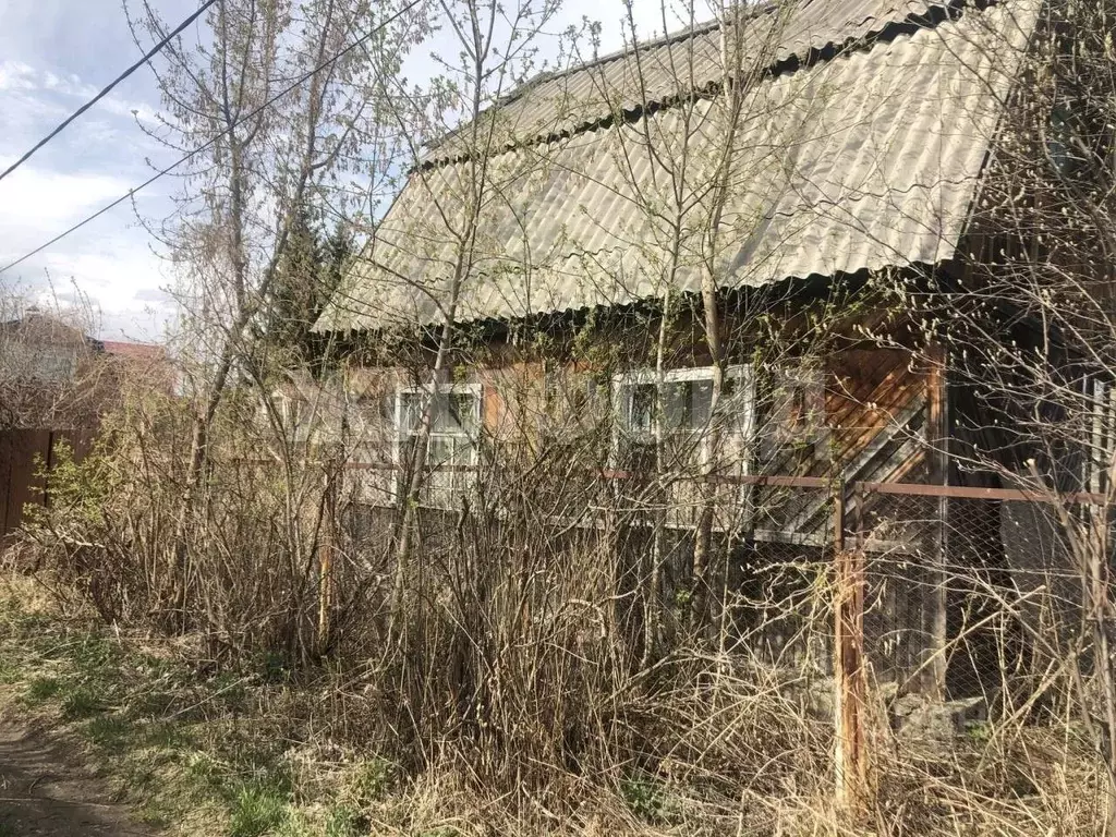 Участок в Новосибирская область, Колыванский район, Домостроитель СНТ ... - Фото 2