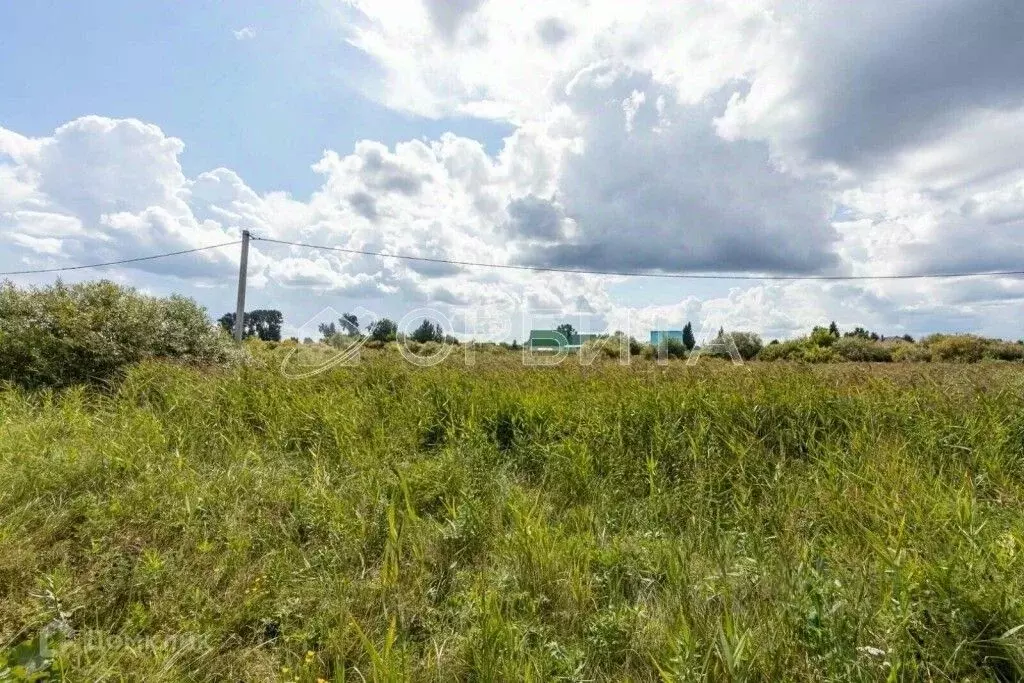 Участок в Тюменская область, Тюменский муниципальный округ, д. ... - Фото 2