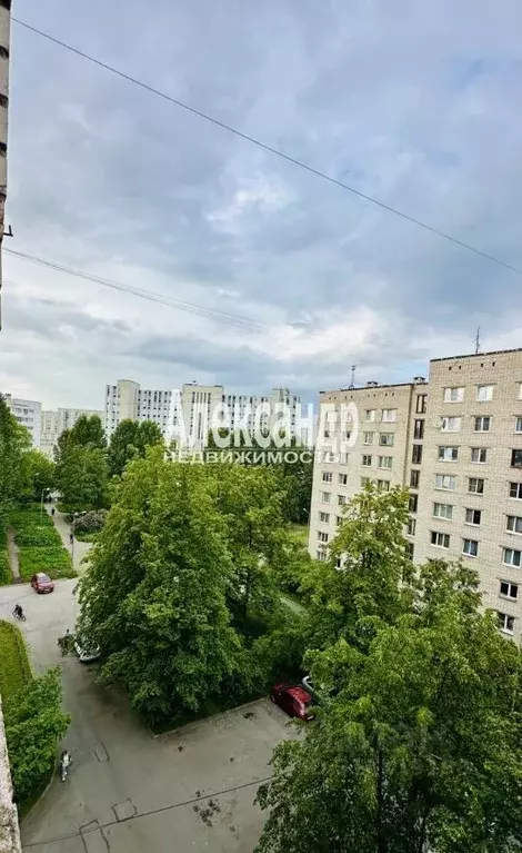 Комната Санкт-Петербург ул. Беринга, 32К3 (12.4 м) - Фото 0