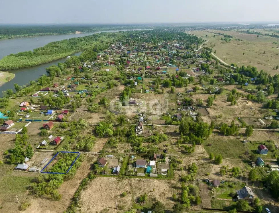 Участок в Новосибирская область, Колыванский район, Ежевичка СНТ  (6.0 ... - Фото 2