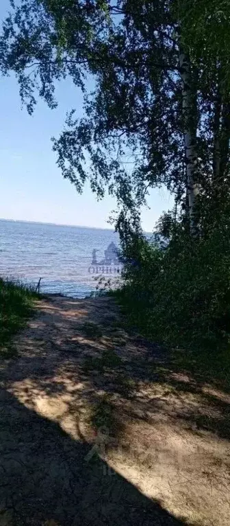 Дом в Нижегородская область, Чкаловск муниципальный округ, с. ... - Фото 2