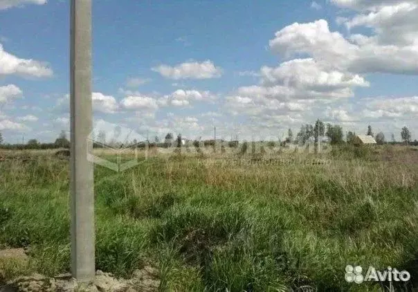 Участок в Тюменская область, Тюмень Царево садовое товарищество,  ... - Фото 2