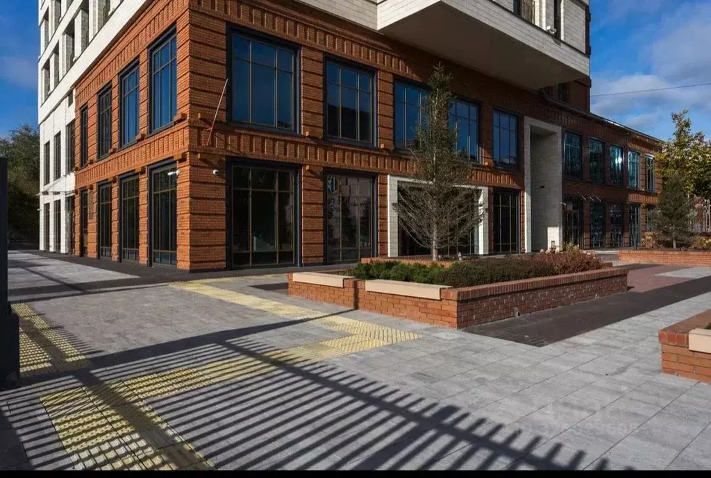 3-к кв. Новосибирская область, Новосибирск ул. Чаплыгина, 54 (70.0 м) - Фото 2