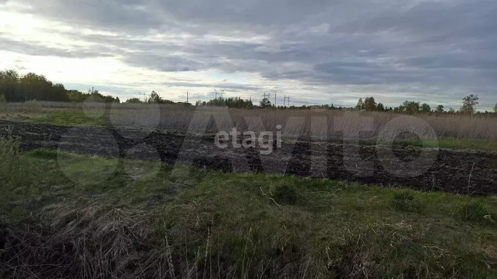 Участок 19,3 сот. (личное подсобное хозяйство (лпх)) - Фото 0