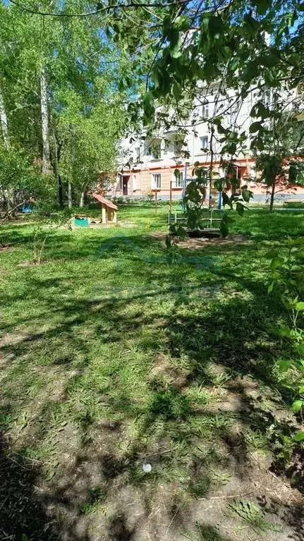 3-к кв. Новосибирская область, Новосибирск ул. Аэропорт, 53 (52.1 м) - Фото 0