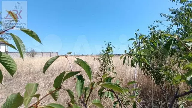 Участок 9,2 сот. (СНТ, ДНП) - Фото 0