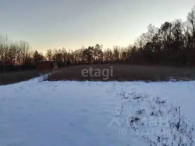 Участок в Амурская область, Свободненский район, с. Малая Сазанка  ... - Фото 1