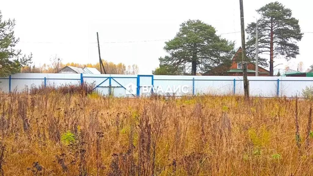 Участок в Владимирская область, Камешковский муниципальный округ, пос. ... - Фото 2