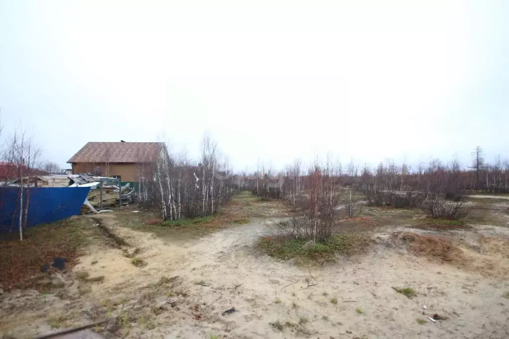 Участок в Ямало-Ненецкий АО, Новый Уренгой ДНТ заимка,  (4.6 сот.) - Фото 0