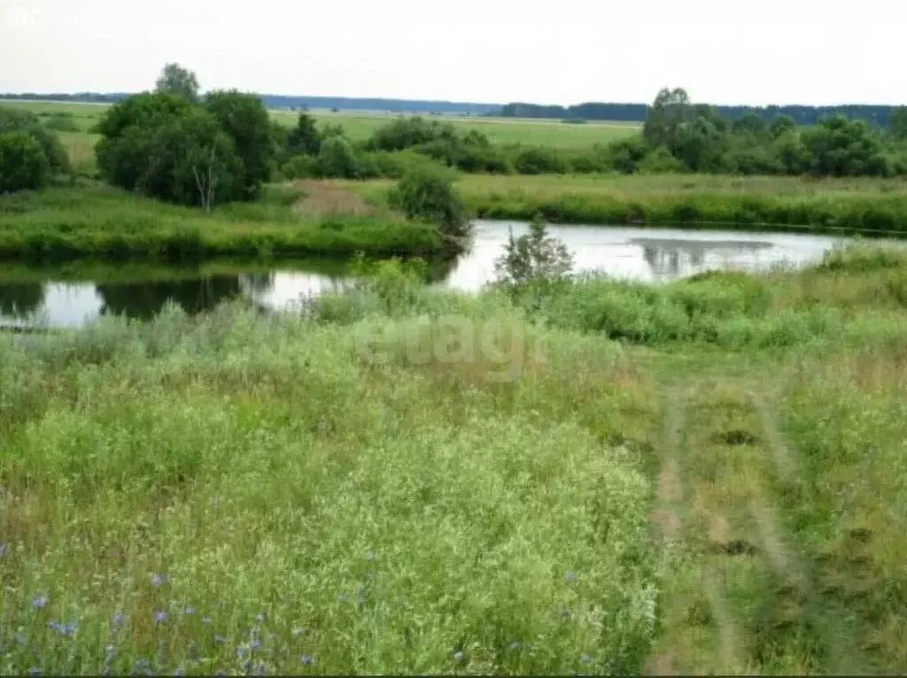 Участок в деревня Петяково, Центральная улица (30 м) - Фото 2