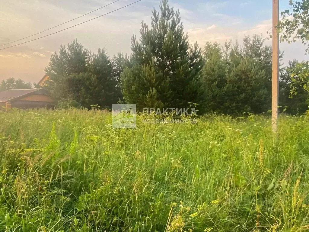 Участок в Московская область, Павлово-Посадский городской округ, д. ... - Фото 1