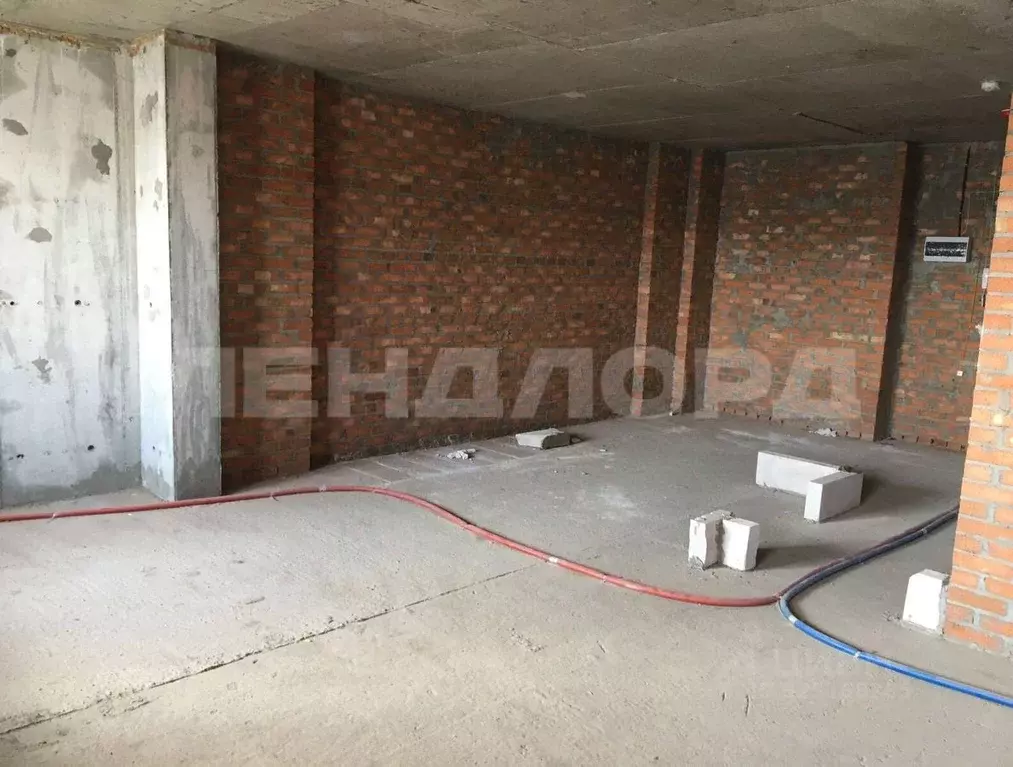 1-к кв. Ростовская область, Ростов-на-Дону Нижегородская ул., 31/2 ... - Фото 2