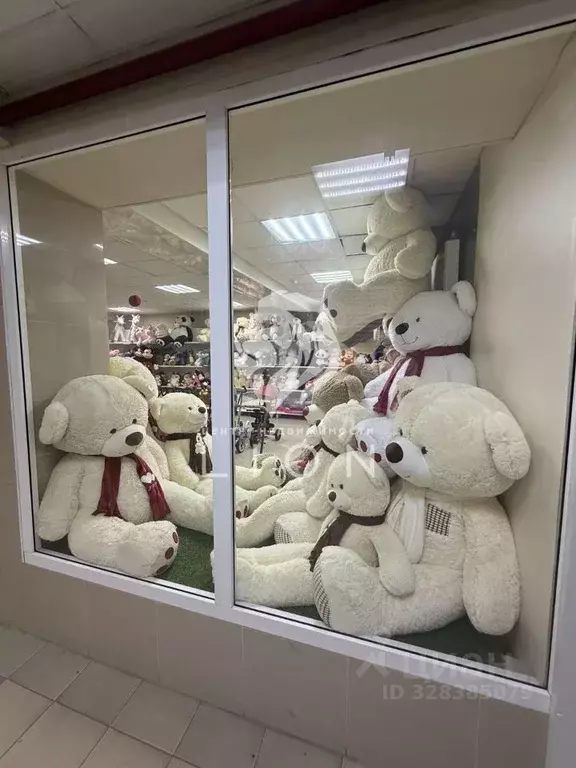 Торговая площадь в Белгородская область, Белгород просп. Богдана ... - Фото 1