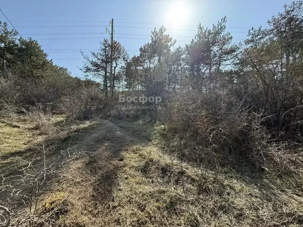 Участок в Крым, Феодосия ул. Панова, 106 (3.0 сот.) - Фото 1