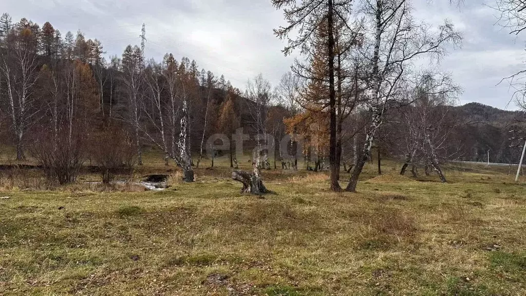 Участок в Алтай, Шебалинский район, с. Шебалино Почтовая ул. (14.99 ... - Фото 0