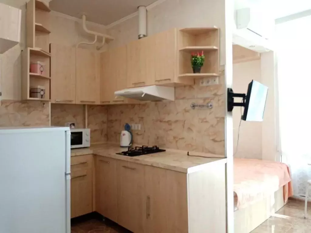 Студия Краснодарский край, Сочи Мамайка мкр, ул. Волжская, 77 (24.0 м) - Фото 2