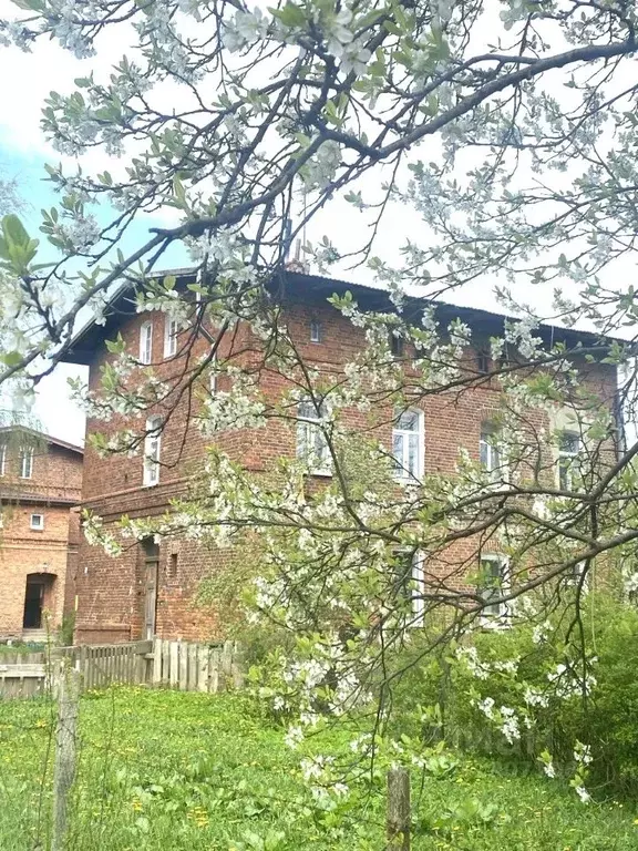 1-к кв. Калининградская область, Полесск Вокзальная ул., 3 (23.5 м) - Фото 0