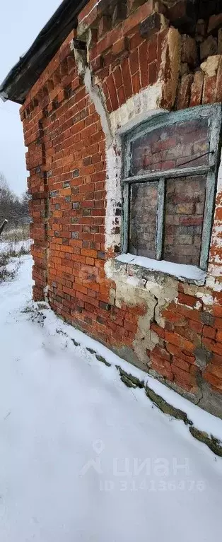 Дом в Тульская область, Тула городской округ, д. Темненево 6 (24 м) - Фото 1