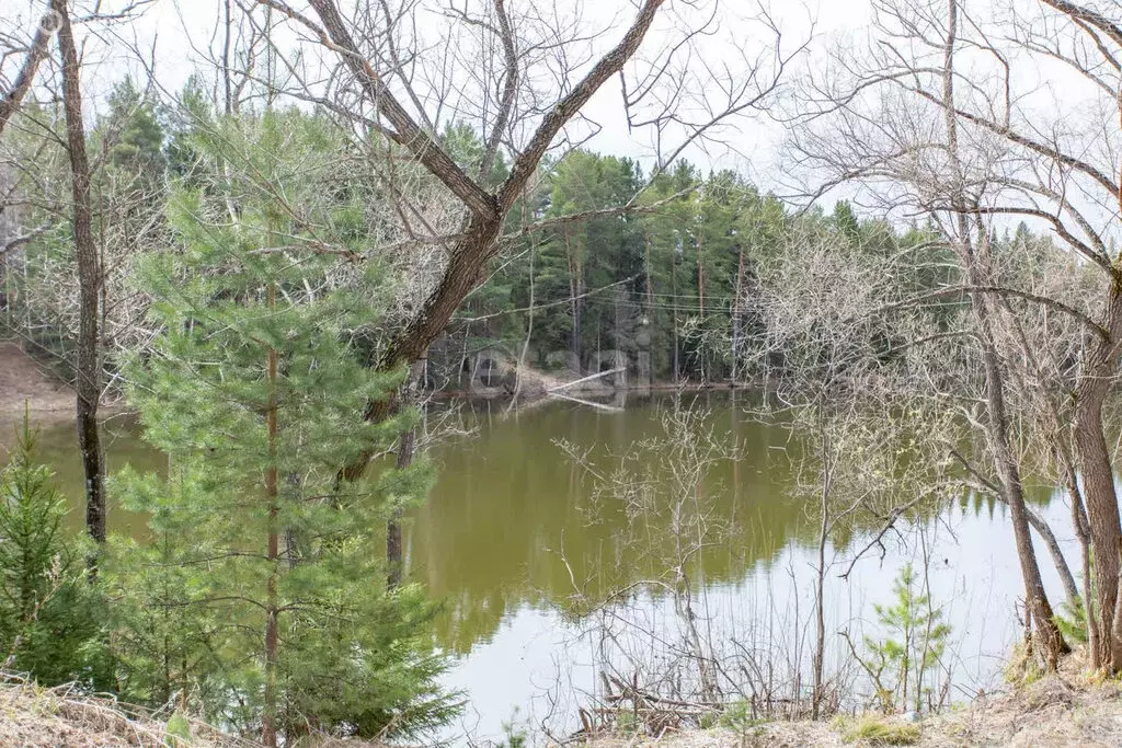 Участок в Тюменская область, Тобольский муниципальный округ, ... - Фото 2