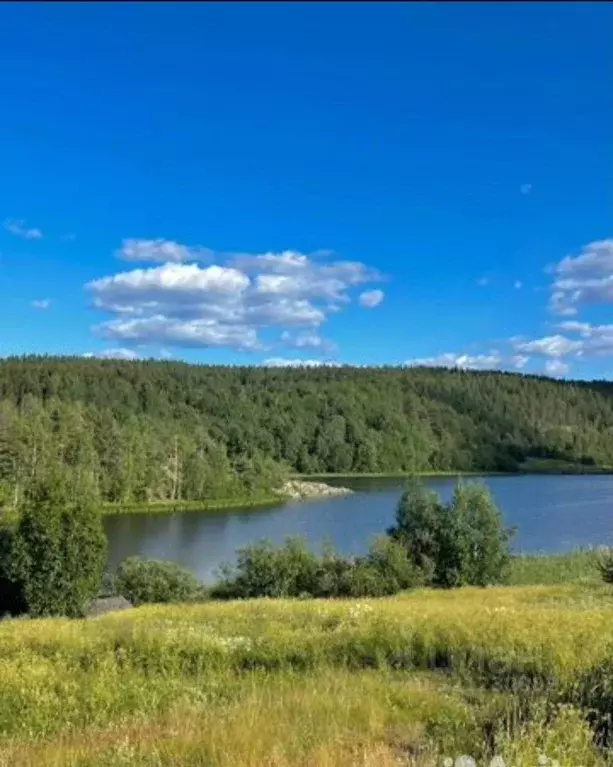 Дом в Карелия, Питкярантский муниципальный округ, пос. Импилахти ул. ... - Фото 1